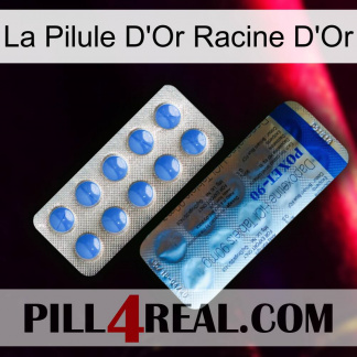 The Golden Root Gold Pill 40